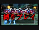 【ドラクエ5 縛りプレイ】フリーズ多発してたのでPS2新調しました！(レベ上げ金策回)Part71【アルカリ性】