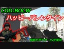 ハッピーバレンタイン　Call of Duty: Black Ops Cold War ♯47　加齢た声でゲームを実況