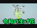 【ゆっくり実況】生け花やろうぜ！！！「Flower Design Two」