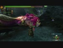 【MH3G】ピンク色のモンスター２体狩る！
