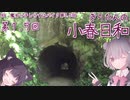 きりたんの小春日和 第１．５回（南房総／林道畑3号線）【バイク車載】