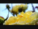 【AIきりたん＆AI遥子】寝坊助な僕