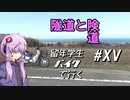 隧道と険道～留年学生バイクで行く#15
