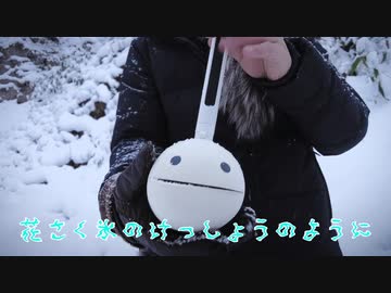 −１２℃の中でオタマトーン弾いたけど少しも寒くなかった件