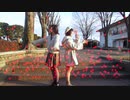 【ぽぽ×ぴよ】chocolatebox 踊ってみた 【バレンタイン】
