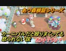 あつまれどうぶつの森　カーニバルだと殴りまくっても怒られない説　ホント？ウソ？　【あつ森】