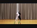 【踊ってみた】乱乱流のＴＯＨＯＫＵ☆ダンシング・シャドウ【ソロ動画】