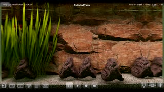 001『熱帯魚の飼育だ！だが英語なので全然わかんねぇぞ！(・∀・)』【ビオトープ(Biotope)】実況プレイ フルHD 高画質 STEAM PCゲーム