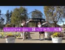 【おひるにたるとどうですか】【NG集】chocolate box 踊ってみた