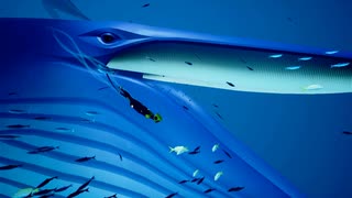 クジラ達とのスイミング 【#3】 【ABZU】