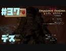 仕事辞めたので黒呪島生活。#37【ドラゴンズドグマダークアリズン】【DDDA】