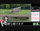 2021年02月14日【ダビスタSwitch】ノーリセ凱旋門とかできるんかこれ？【放送アーカイブ】