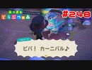 【実況】尋常じゃないくらいハイテンションなダンサーが来た #248【あつまれどうぶつの森】