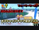 フューリーワールド ネコシャインチップ55個の全ポイント場所どこが一番難しい？