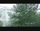 はげ、お前警察行くぞ。