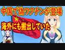 中国で新型コロナの偽ワクチンが登場。短期間で約３億円の利益を得ていた事が判明。【世界の〇〇にゅーす】