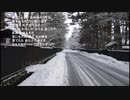 猫・・「雪」