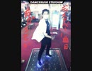 「Polar Night/Hommarju」三十路で頑張るダンスラッシュ