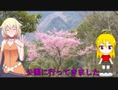 ＮＳ－１で行く！サボーランドパーク♪