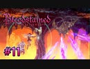 天井に落ちる不可思議な悪魔【Bloodstained -Ritual of the Night-】#11