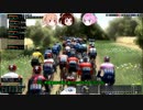 そのゆっくりは迅速に石畳をめざす　その4　【PCM2020】