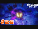 【実況】とうとうラスボスと戦う日が来た #25【ゼルダの伝説 夢をみる島】