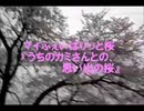 のまさんち「【桜】うちのカミさん（シマいリス）との思い出の桜！」