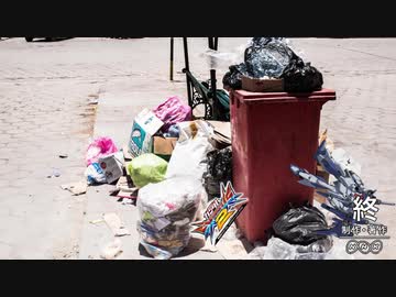 この…汚らわしい…汚物が…mp50