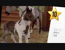 RSHR：最高到達地点！一族の栄光を取り戻す競馬の海外ゲーム＃２０