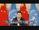 字幕【テキサス親父日本事務局】中国政府の国連での渾身のギャグ？日本政府は中国を見習おう！