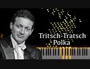 【シフラ/シュトラウスII世】トリッチ・トラッチ・ポルカ【ピアノ/Cziffra/Strauss II./Tritsch-Tratsch Polka】