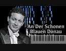 【シフラ/シュトラウスII世】美しき青きドナウ【ピアノ/Cziffra/Strauss II./An Der Schönen Blauen Donau】