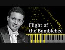 【シフラ/リムスキー＝コルサコフ】熊蜂の飛行【ピアノ/Cziffra/Rimsky-Korsakov/Flight of the Bumblebee】