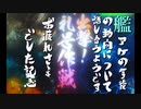 艦アケの今後の動向について話し合うようです