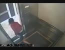 エリサ・ラム②映像の行動をシンプルにして見ていくとわかること