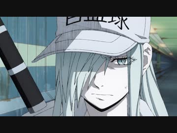 はたらく細胞BLACK　第9話　異変、水虫、働く意味。