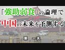 強助弱食の論理で中国の未来を予測する  2-12-2021