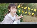 【あもち】チーズケーキクライシス【踊ってみた】