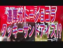 濃厚ガトーショコラクッキーサンドアイス!?