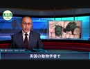 武漢研究所の秘密  コウモリケージの暴露　WHO専門家は否定