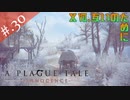 【A Plague Tale】姉弟とヘタレの物語【初見実況】#.30
