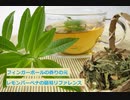 【スパイスを知ろう！】レモンバーベナを知ろう！【part79】