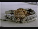 2004年3月のCM集（日曜夜）