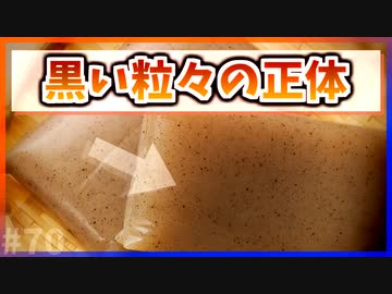 【ゆっくり解説】こんにゃくの黒い粒々の正体【今日の豆知識】