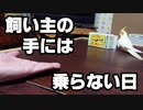 飼い主にそれほど興味のない日（オマケの動画）