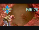【ポケモン剣実況】nintendo switchを初めて手にした踝猫背のグダグダポケモン冒険記 part26
