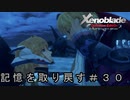 フィオルンの記憶が復活!!二人の時間へ＃３０【ゼノブレイドde/へもへも】