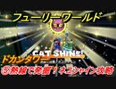 【マリオ3Dワールド+フューリーワールド】⑤熱線で発掘！ネコシャイン攻略　ドカンタワーのネコシャインの場所は？