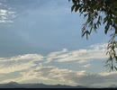 無条件の波動292