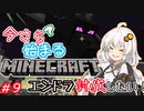 今さら始まる？マインクラフト！#9